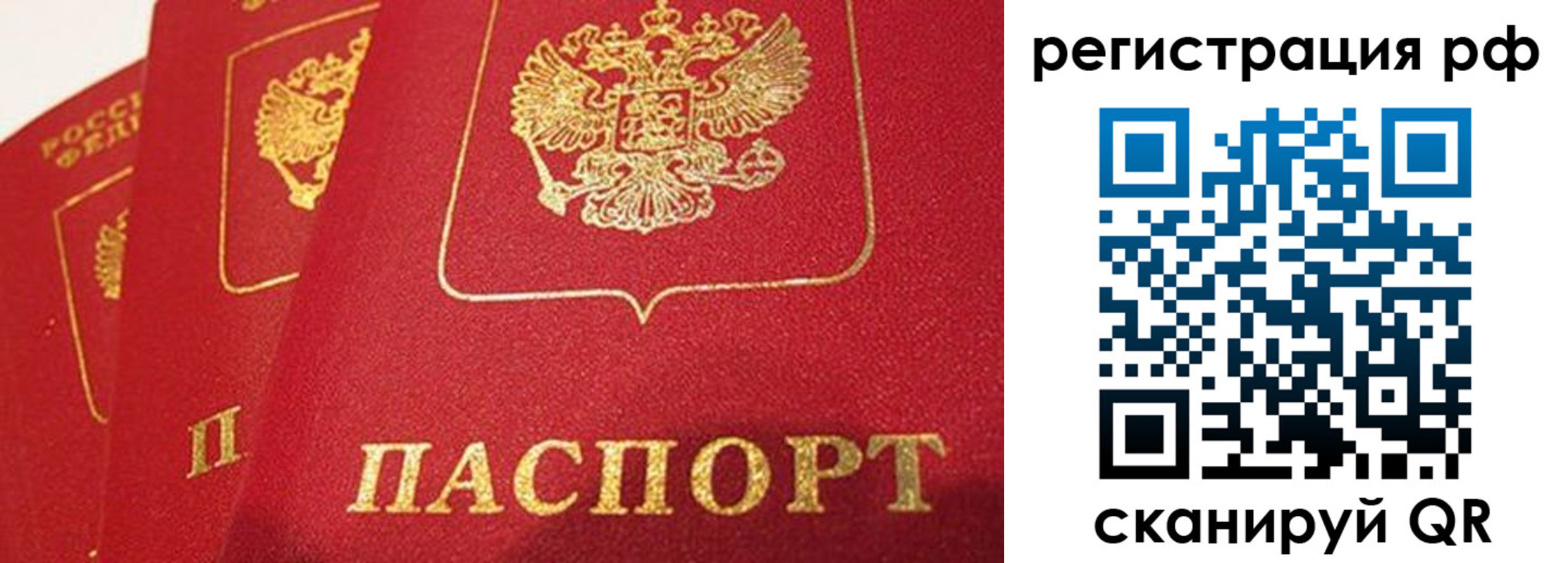 прописка поиск в Зее